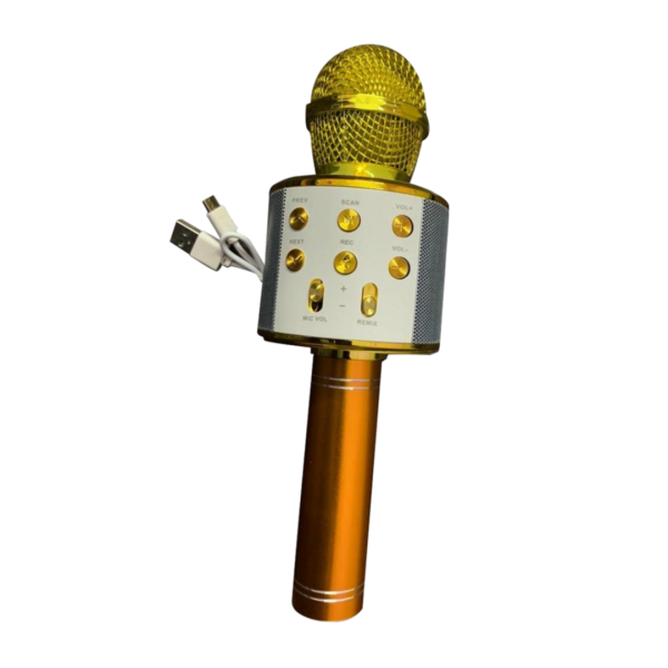 Handheld KTV Speaker (WS-858)